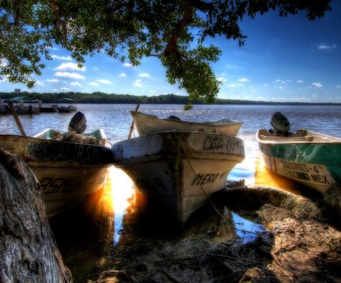 bateau mexique lagune mangrove HDR